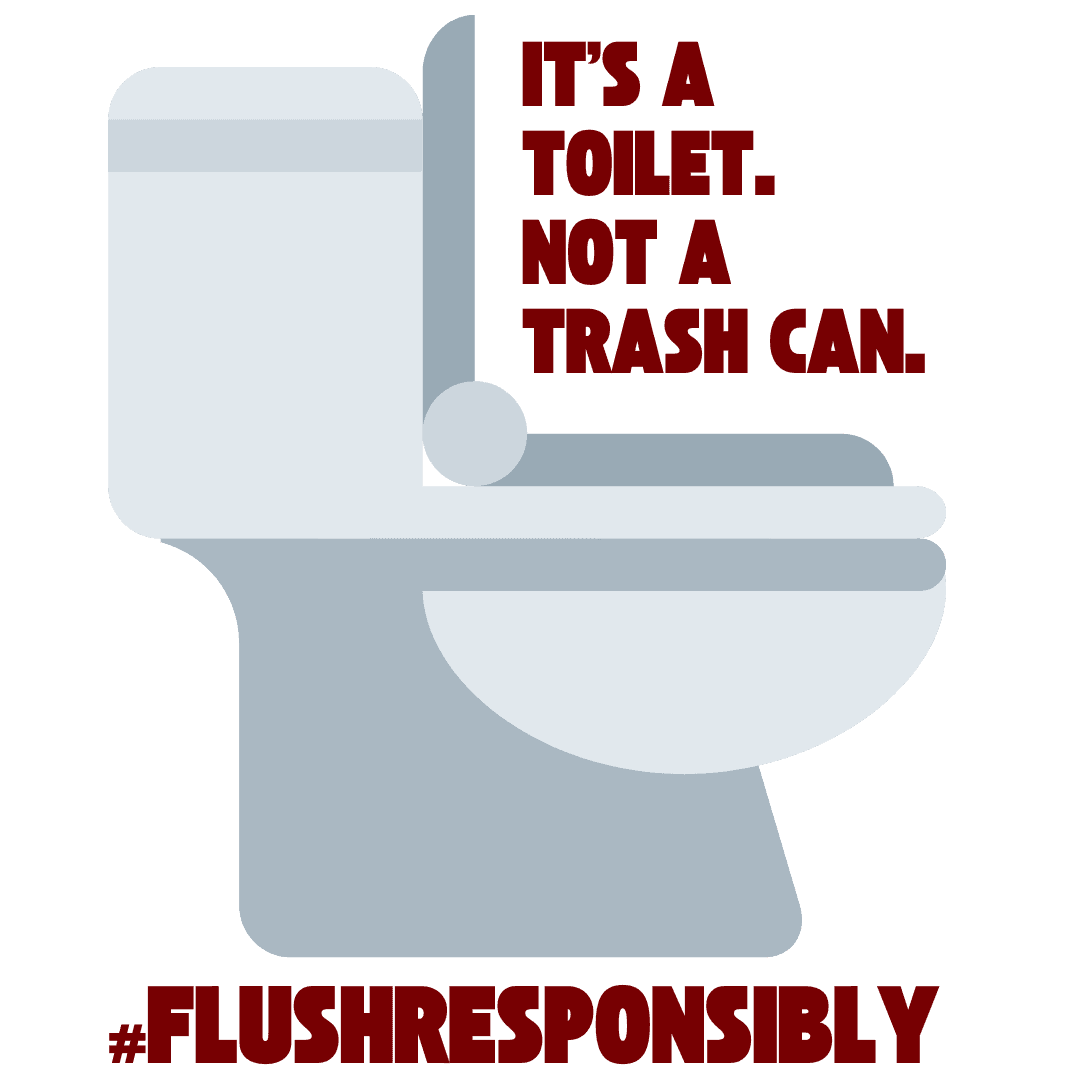 Flush Responsibly Graphic of Toilet